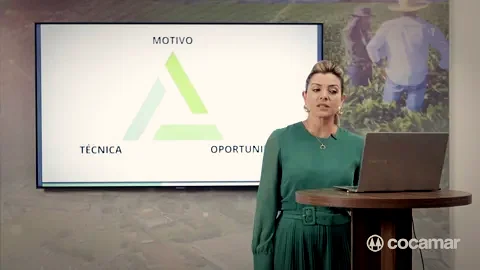 Treinamento